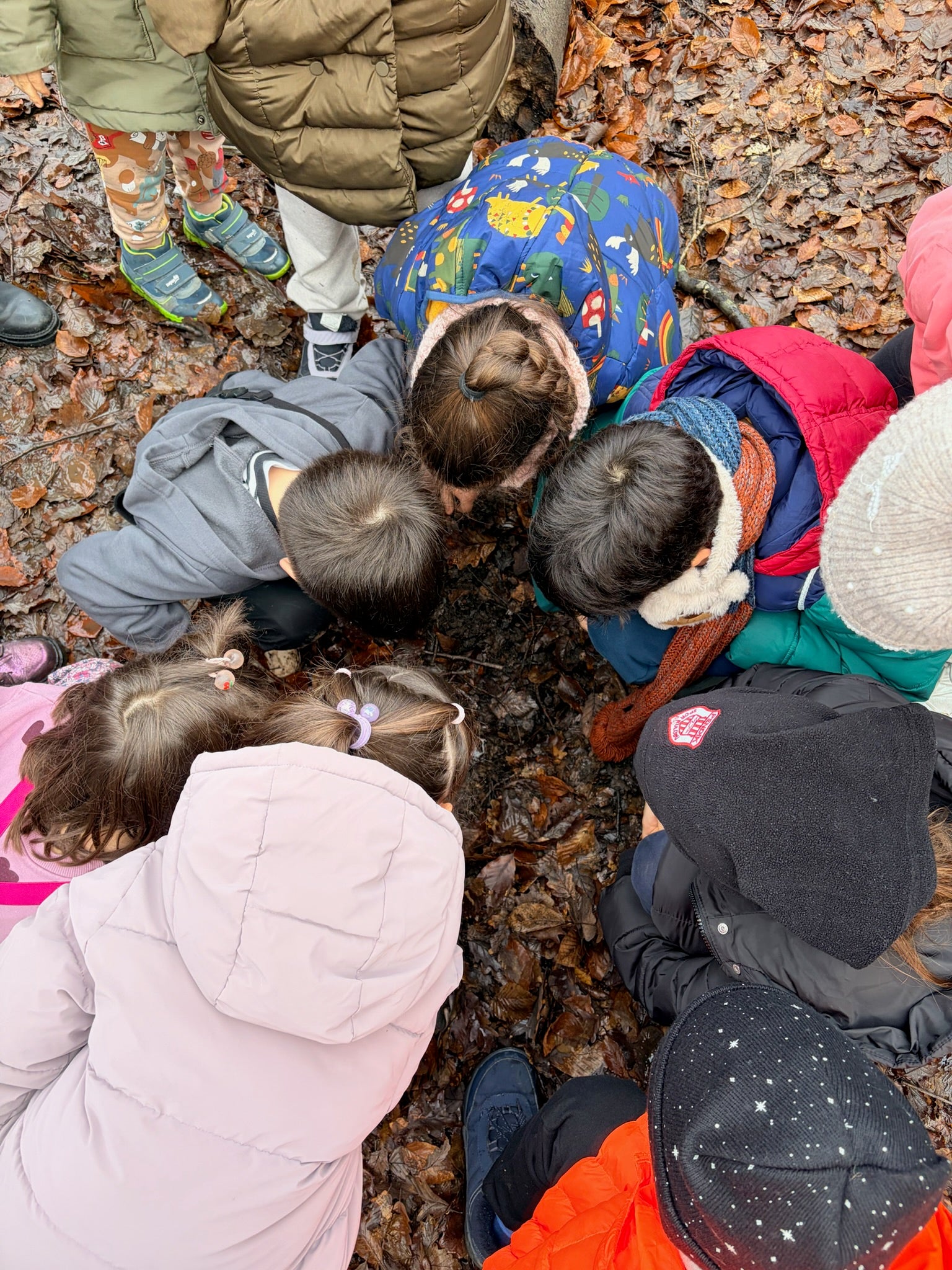 Belgrad Ormanı Orman Atölyesi