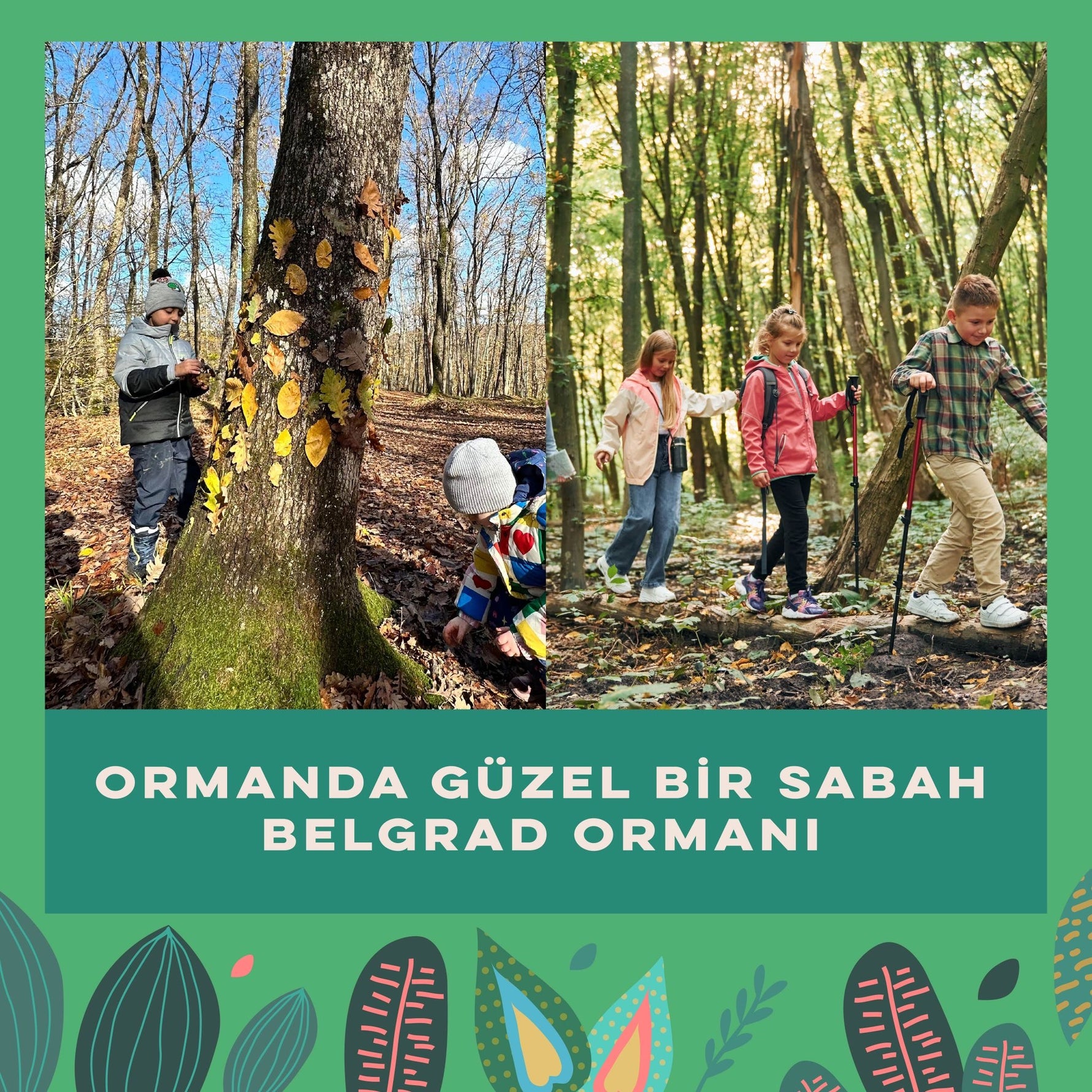 Belgrad Ormanı Orman Atölyesi