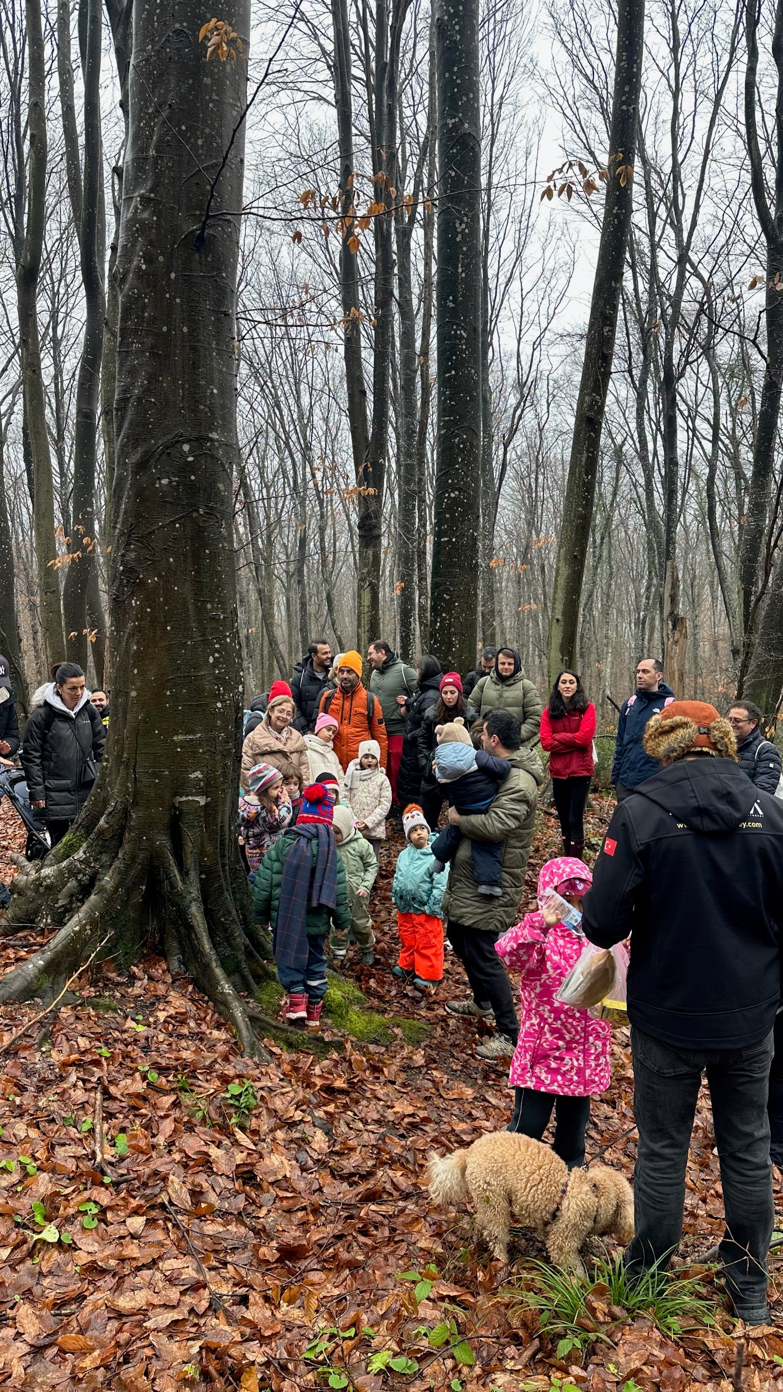 Belgrad Ormanı Orman Atölyesi