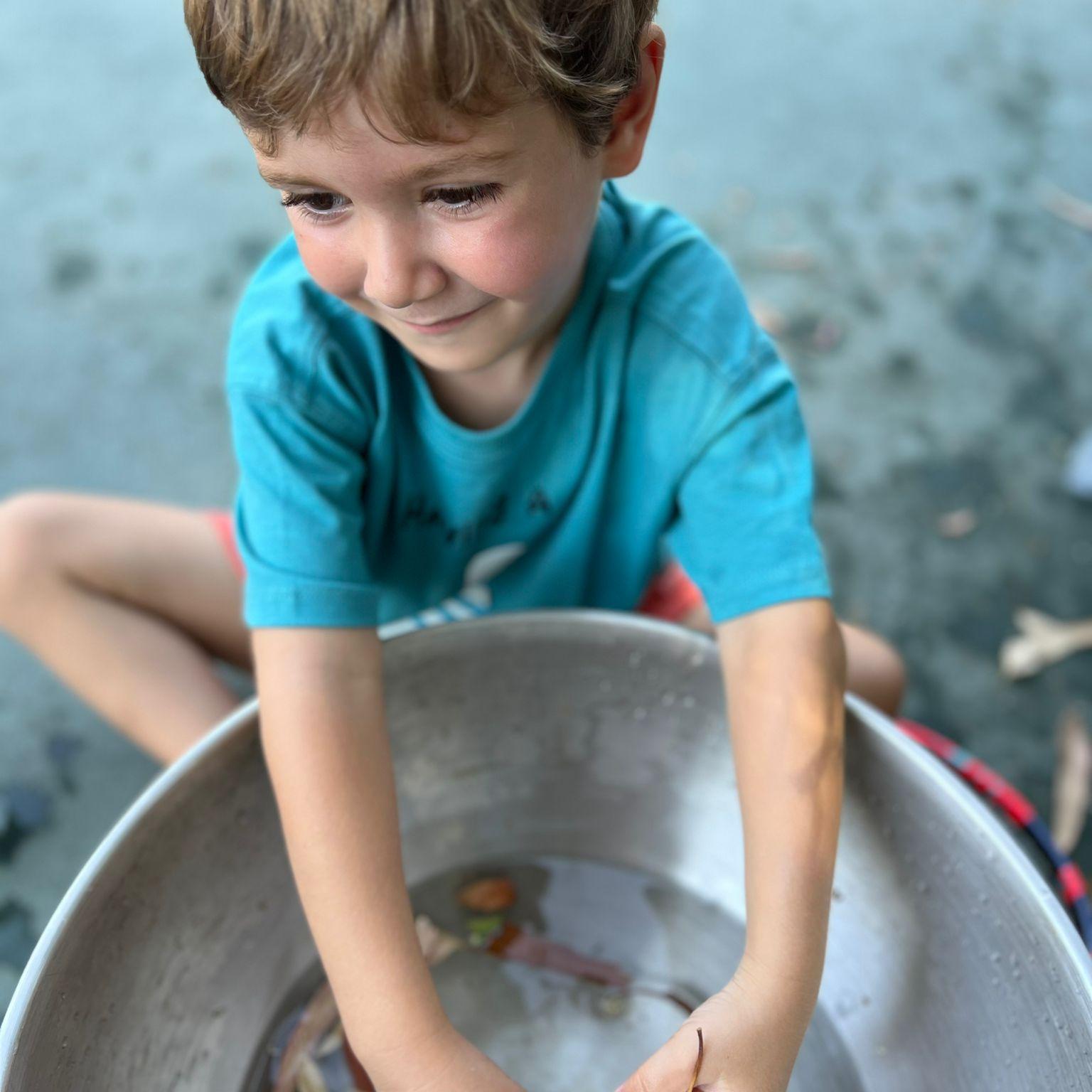 Gymy Kids Bodrum Yaz Okulu | Baia Bodrum